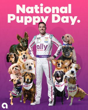 Image post by @allyracing on Instagram