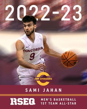 Image post by @the_stingers on Instagram