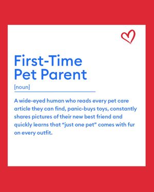Image post by @petsmart on Instagram