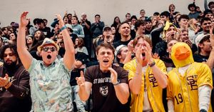 Image post by @gobonnies on Instagram