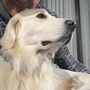 Image post by @mikethewhitegolden on Instagram