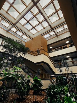 Image post by @filmedbymatthew on Instagram