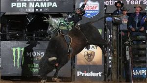 Video post by @pbr on YouTube