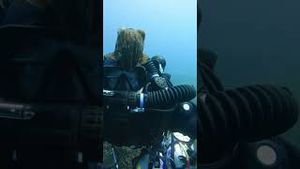 Video post by @gopro on YouTube