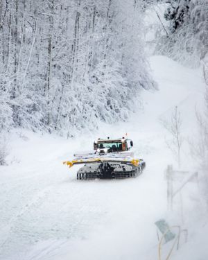 Image post by @arrowheadco on Instagram