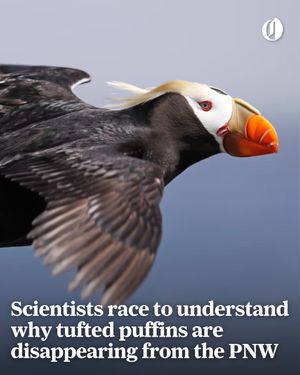 Image post by @theoregonian on Instagram