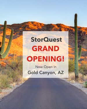 Image post by @storquest on Instagram