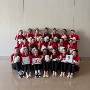 Image post by @cheer_japan on Instagram