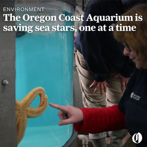 Image post by @theoregonian on Instagram