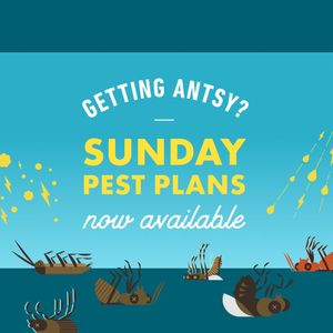 Image post by @getsunday on Instagram