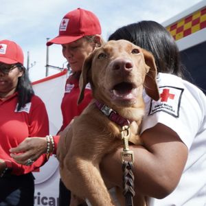 Image post by @americanredcross on Instagram