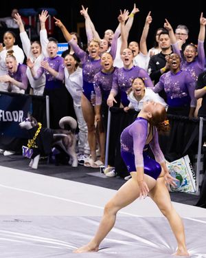 Image post by @uwgymnastics on Instagram