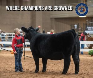 Image post by @american_royal on Instagram