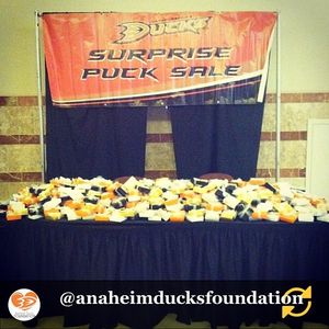 Image post by @anaheimducks on Instagram
