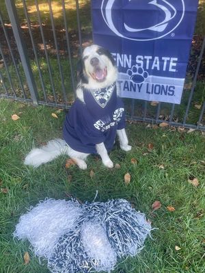 Image post by @psubarstool on Instagram