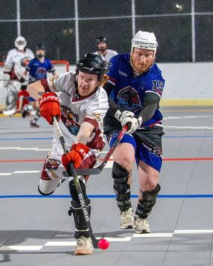 Image post by @nationalballhockeyleague on Instagram
