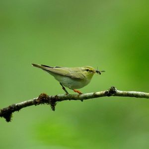 Image post by @rspb on Instagram