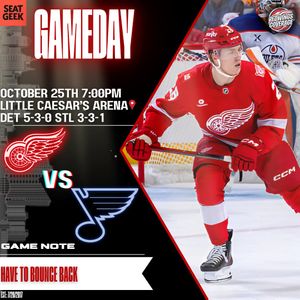 Image post by @redwingscoverage on Instagram