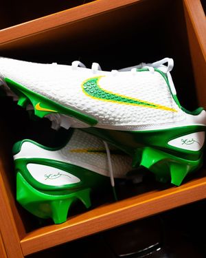 Image post by @goducks on Instagram