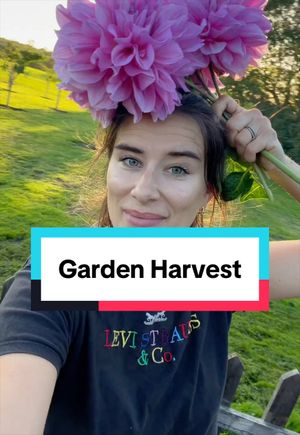 Video post by @gardeningwithlou on TikTok