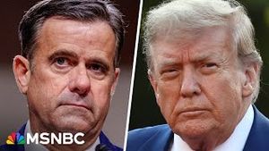 Video post by @msnbc on YouTube