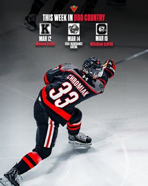 Image post by @ohlicedogs on Instagram