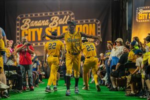 Image post by @thesavbananas on Instagram