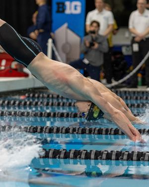 Image post by @purduemswimdive on Instagram