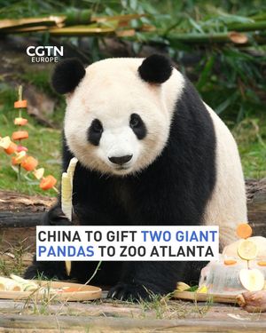 Image post by @cgtneurope on Instagram