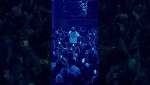 Video post by @alisonwonderland on YouTube