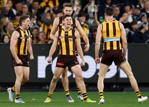 Image post by @AFL on Twitter/X