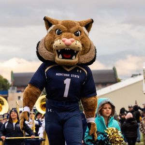 Image post by @champ_bobcat on Instagram