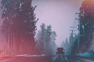 Image post by @amandabolinphotography on Instagram
