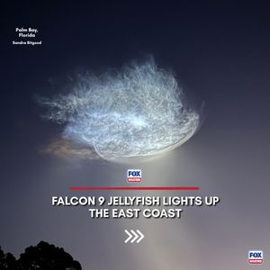 Video post by @foxweather on TikTok
