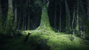 Image post by @adobe on Instagram