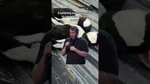 Video post by @barstooloutdoors on YouTube
