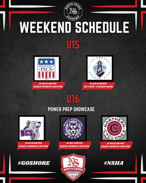 Image post by @nshockeyacademy on Instagram