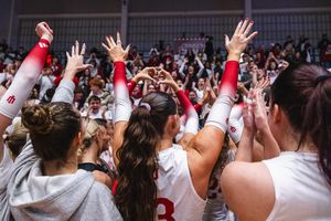 Image post by @indiana.nil.store on Instagram