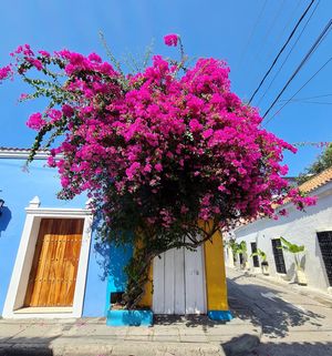 Image post by @vamospuesandres on Instagram