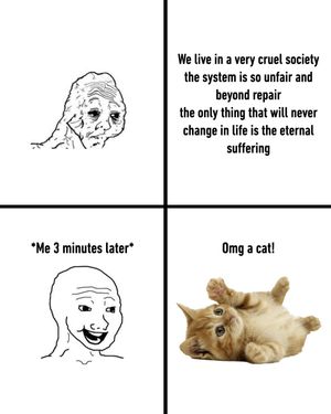 Image post by @9gag on Instagram