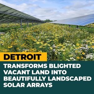 Image post by @cityofdetroit on Instagram