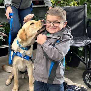 Image post by @canineorg on Instagram