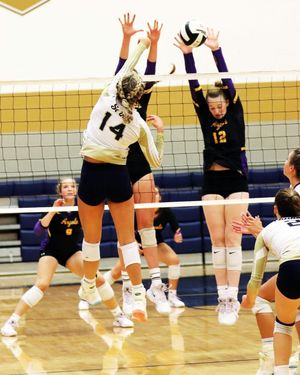 Image post by @misenbargerphotography on Instagram