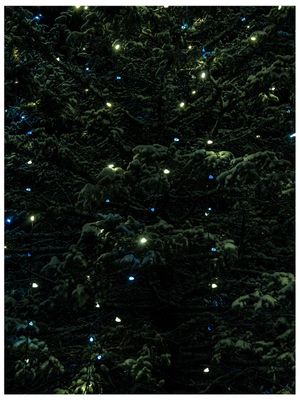 Image post by @alexweissphoto on Instagram