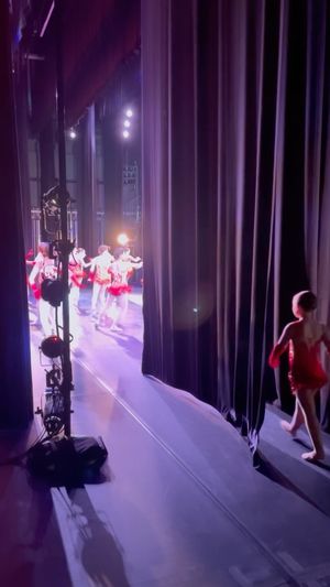 Video post by @elitedanceforcemi on Instagram