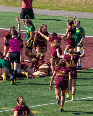 Image post by @the_stingers on Instagram