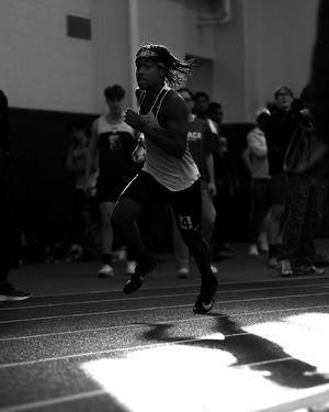 Image post by @raytrykacreative on Instagram