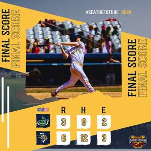 Image post by @goseaunicorns on Instagram