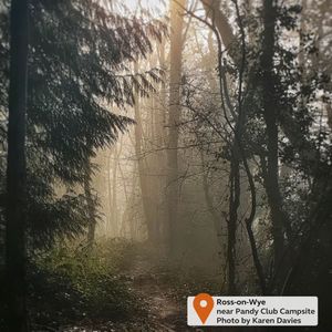 Image post by @candmclub on Instagram