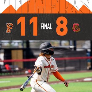 Image post by @putigerbaseball on Instagram